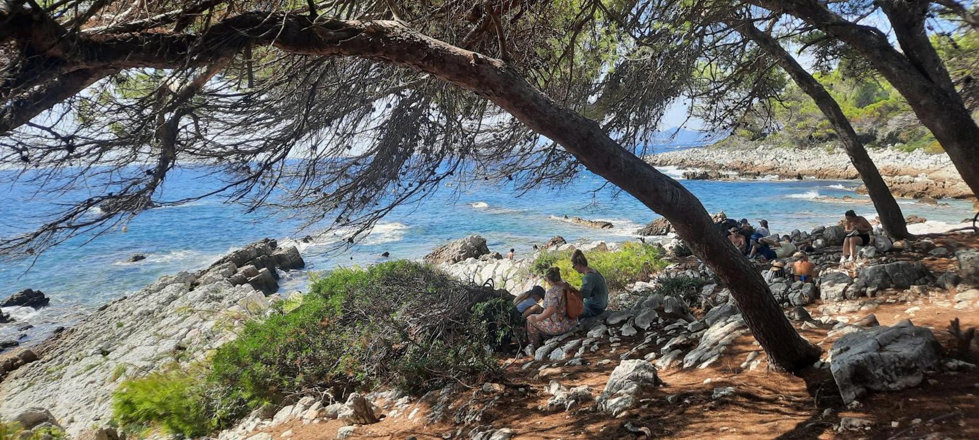 אנטיב Studio Sun-Beach Avec Parking Et Jardin - 500M Des Plages De Juan Les Pins מראה חיצוני תמונה